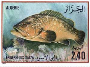 السمك طابع بريدي الجزائر