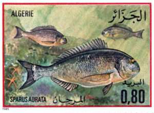 Poissons (Timbre poste Algérie)