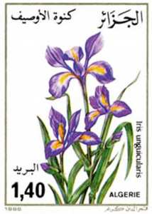 Flore (Timbre poste Algérie)