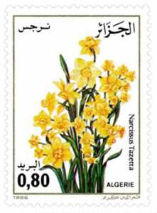 Flore (Timbre poste Algérie)