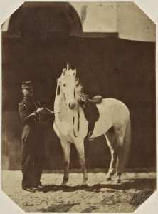 [Militaire tenant un cheval] (Image de propagande coloniale)
