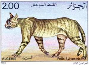Les chats (Timbre poste Algérie)