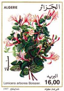 أزهار طابع بريدي الجزائر