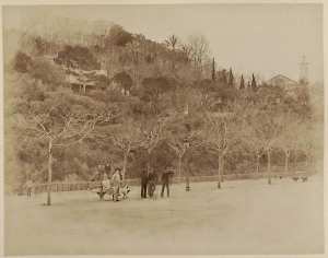 Oran. Place de la République (Image de propagande coloniale)