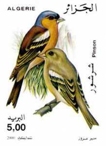 طيور طابع بريدي الجزائر