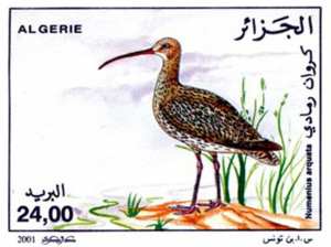 الطيور المائية طابع بريدي الجزائر