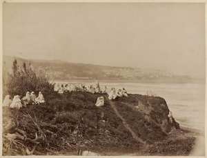 Fête nègre (panorama d'Alger). (Image de propagande coloniale)