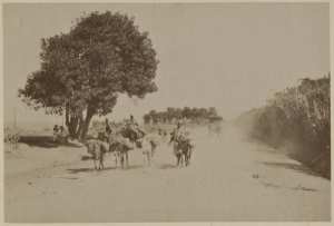 Alger. Route de Constantine (Image de propagande coloniale)