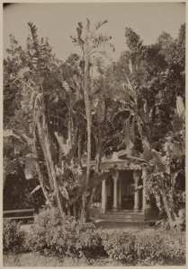 Mustapha supérieur [Alger] : résidence d'été du gouverneur (Pavillon indien] (Image de propagande coloniale)