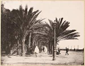 Alger. Square Bresson (Image de propagande coloniale)