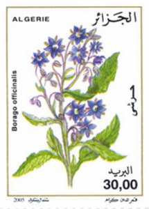 أزهار طابع بريدي الجزائر