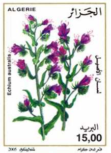 أزهار طابع بريدي الجزائر