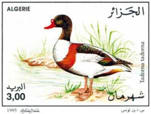 Gibier aquatique (Timbre poste Algérie)