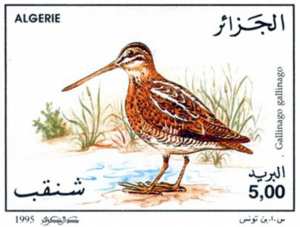 قنائص مائية طابع بريدي الجزائر