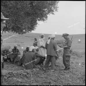 Opérations effectuées par une unité de la Légion étrangère dans le secteur de Tlemcen.
