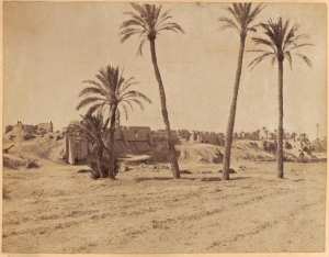 [Biskra'] (Image de propagande coloniale)