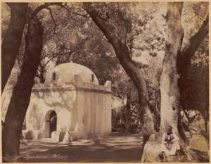 Bois sacré (Blida) (Image de propagande coloniale)