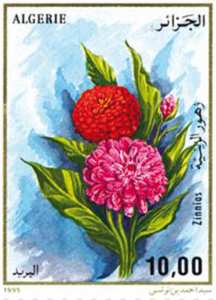 زهور طابع بريدي الجزائر