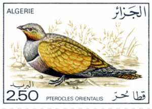Les oiseaux (Timbre poste Algérie)