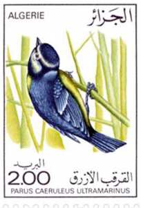 Les oiseaux (Timbre poste Algérie)
