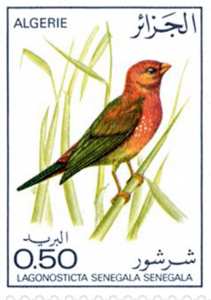 Les oiseaux (Timbre poste Algérie)