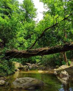 Parc National de Taza, Jijel !