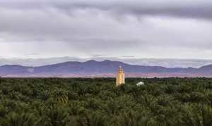 Tolga, Ouled Djellal et Hiziya
