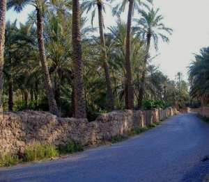 Tolga, Ouled Djellal et Hiziya