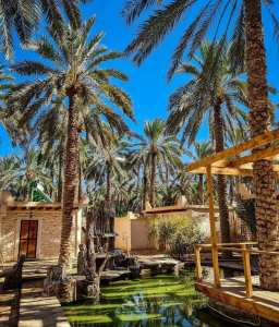 Tolga, Ouled Djellal et Hiziya