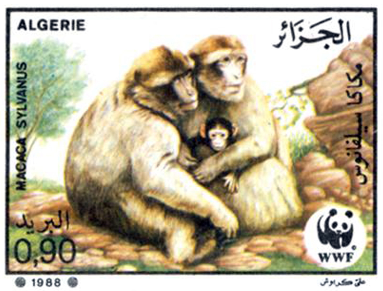 Protection du singe magot (Timbre poste Algérie)
