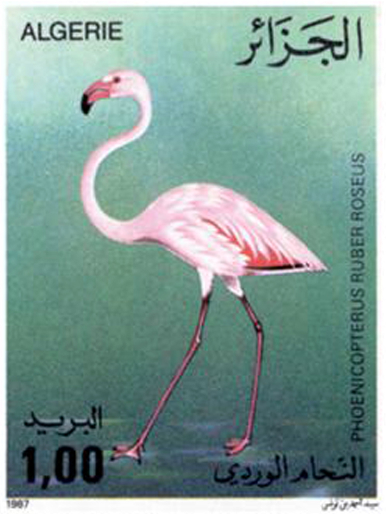 Oiseaux (Timbre poste Algérie)