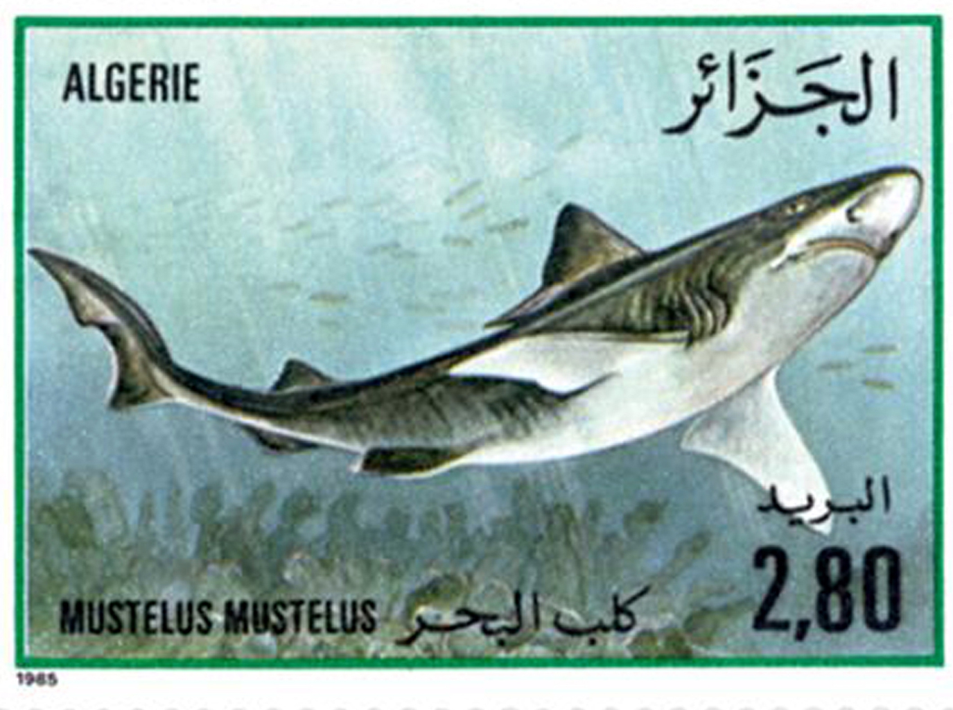 السمك طابع بريدي الجزائر