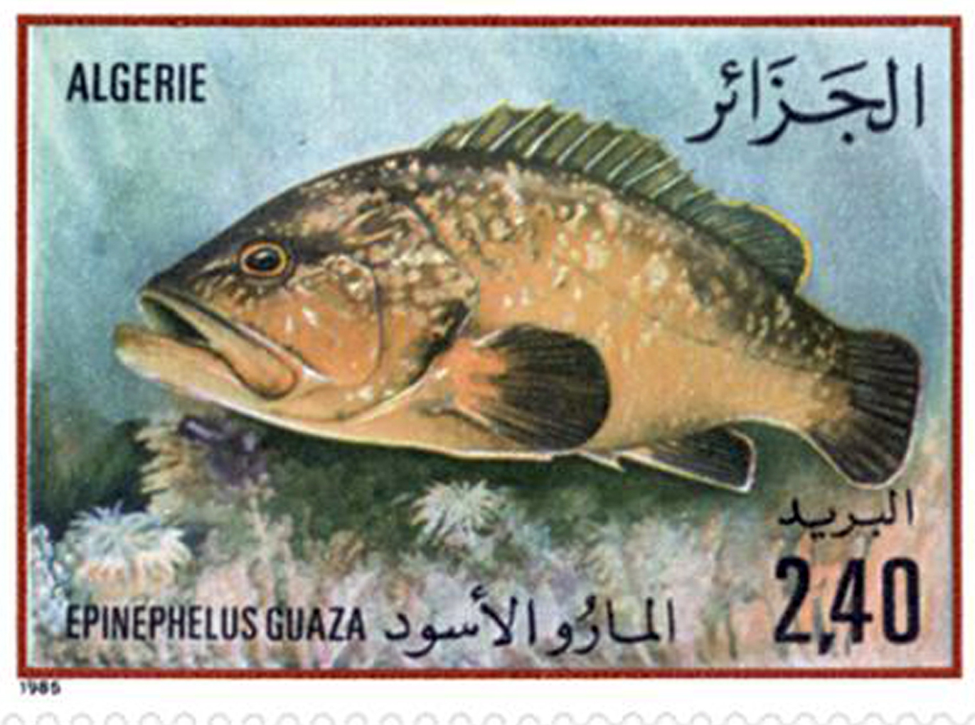 السمك طابع بريدي الجزائر