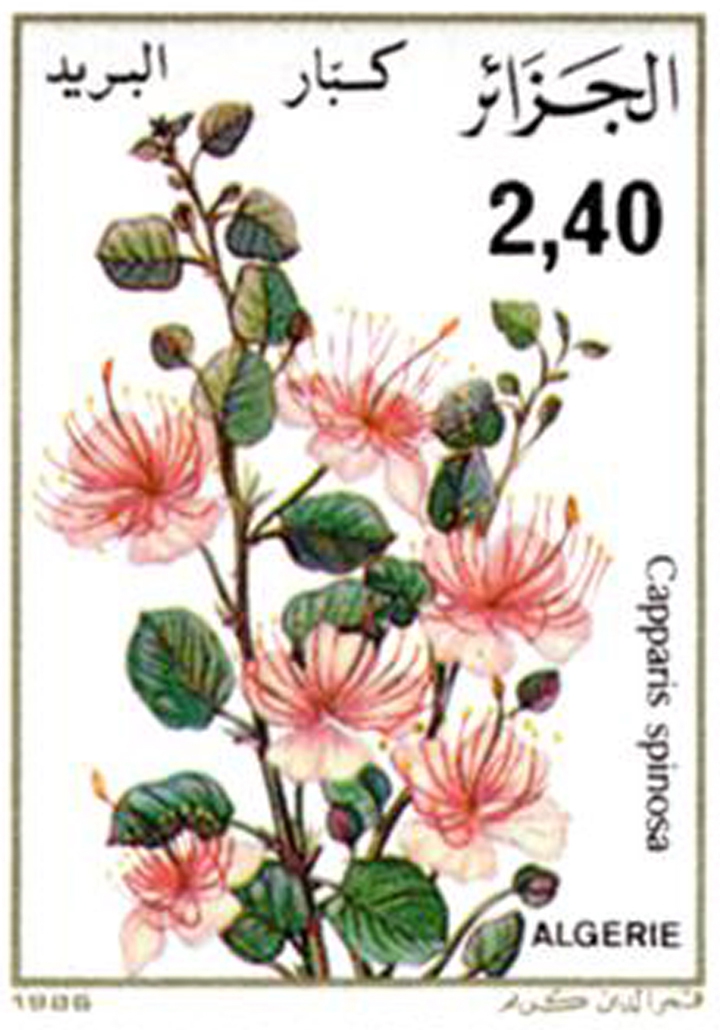 Flore (Timbre poste Algérie)