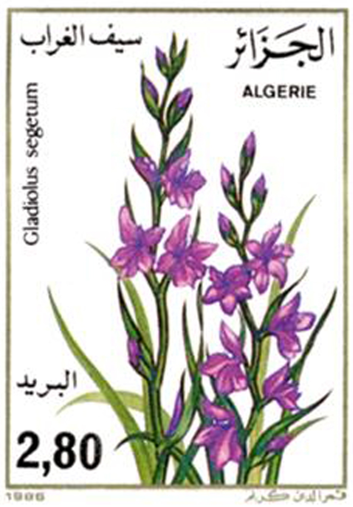 Flore (Timbre poste Algérie)