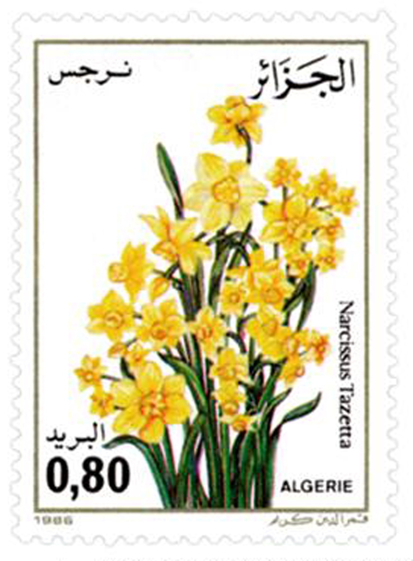 Flore (Timbre poste Algérie)