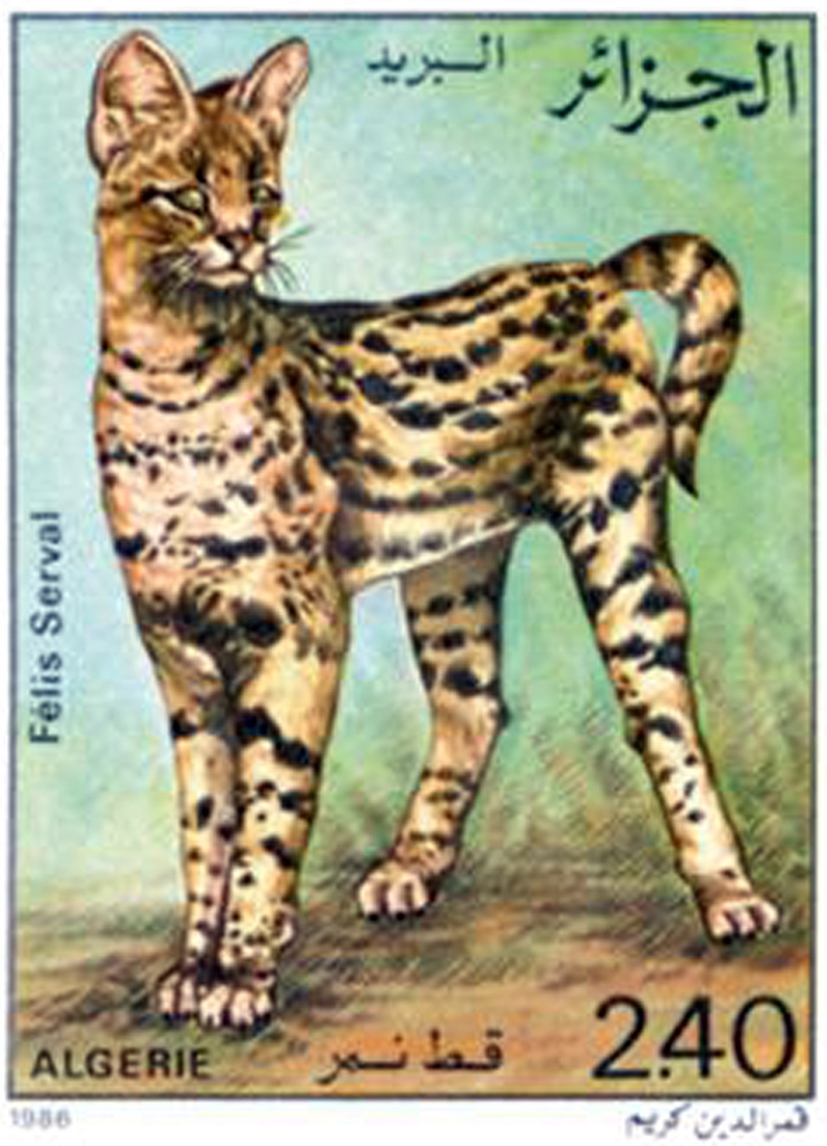 Les chats (Timbre poste Algérie)