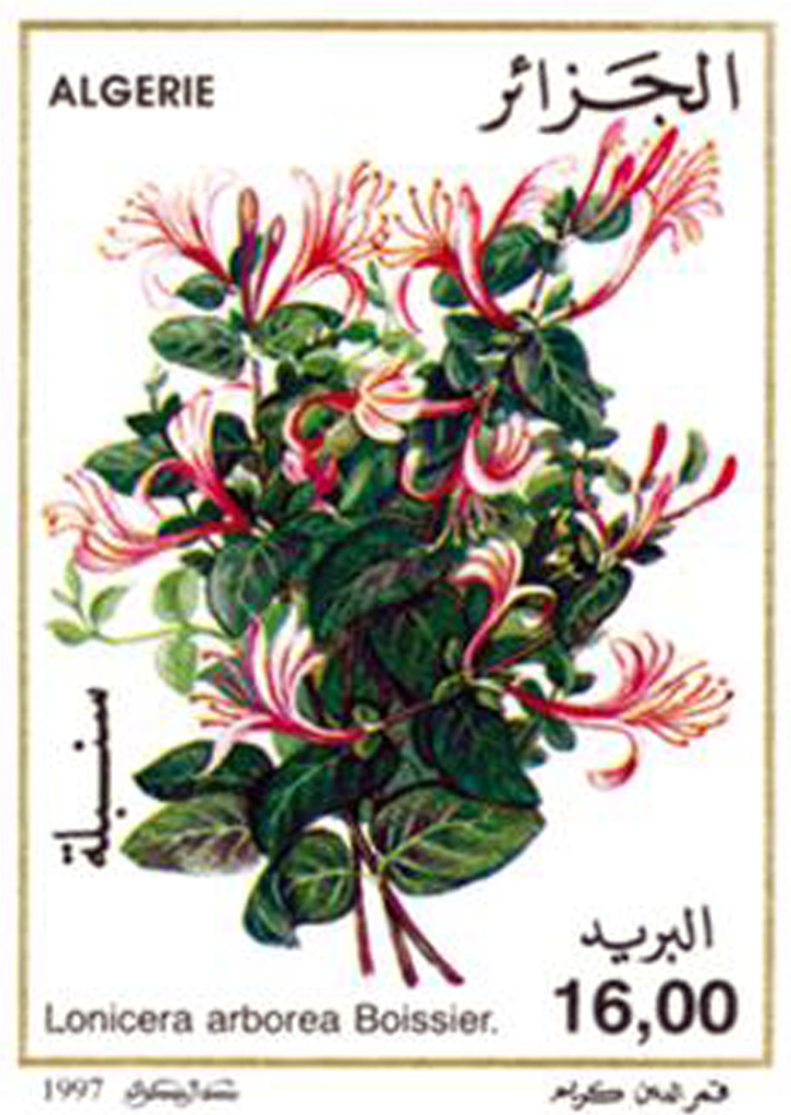 أزهار طابع بريدي الجزائر