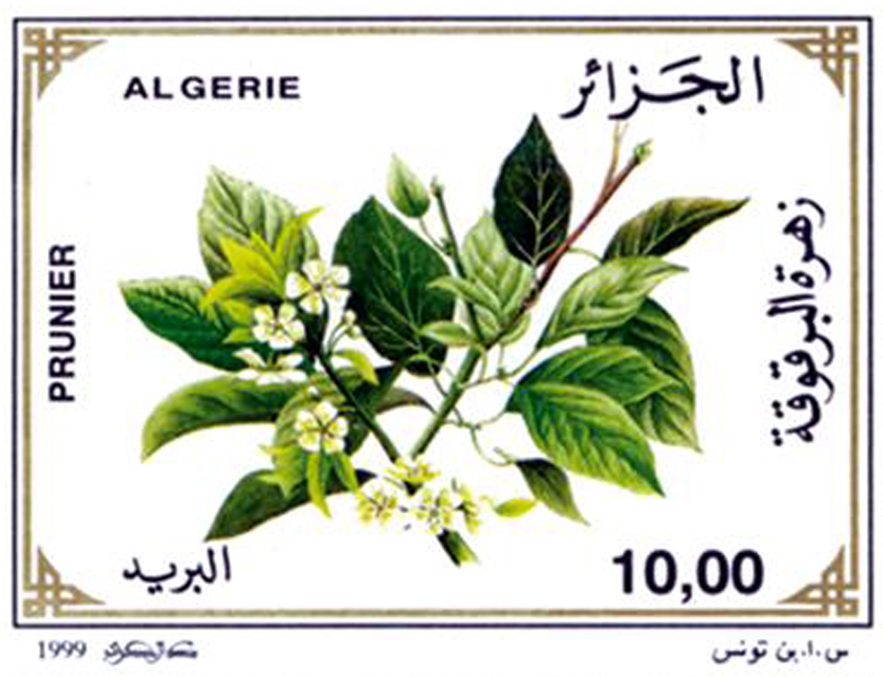 زهور الأشجار المثمرة طابع بريدي الجزائر
