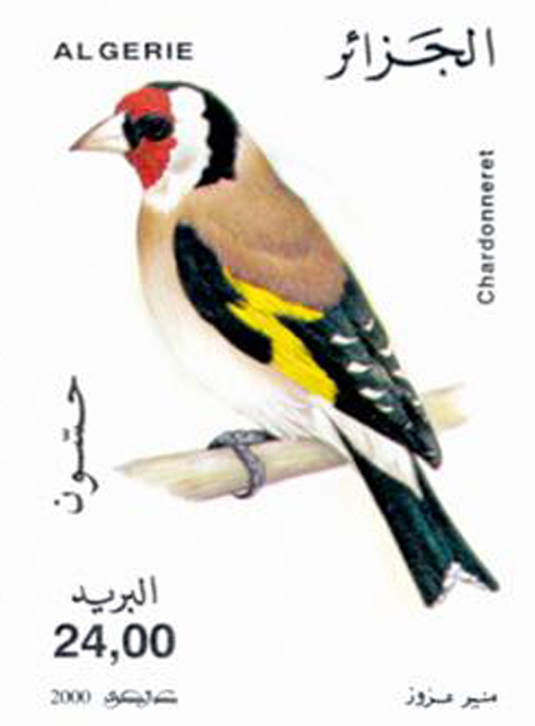 طيور طابع بريدي الجزائر