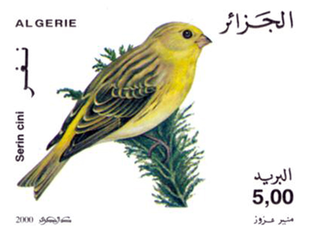 طيور طابع بريدي الجزائر