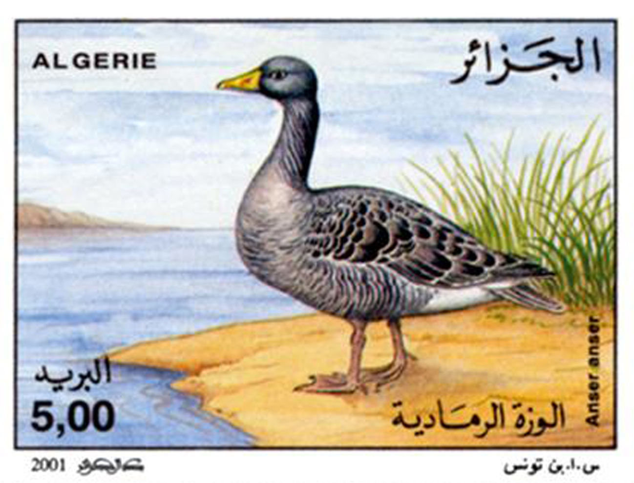 الطيور المائية طابع بريدي الجزائر