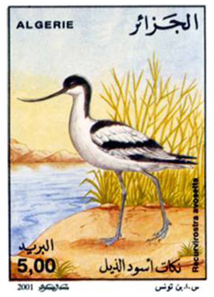 الطيور المائية طابع بريدي الجزائر