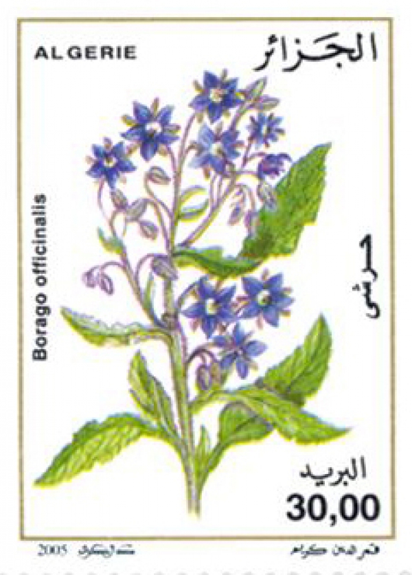 أزهار طابع بريدي الجزائر