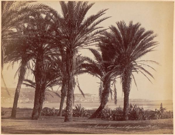 Jardin d'essais, vue d'Alger et Oasis Sainte-Marie (Image de propagande coloniale)