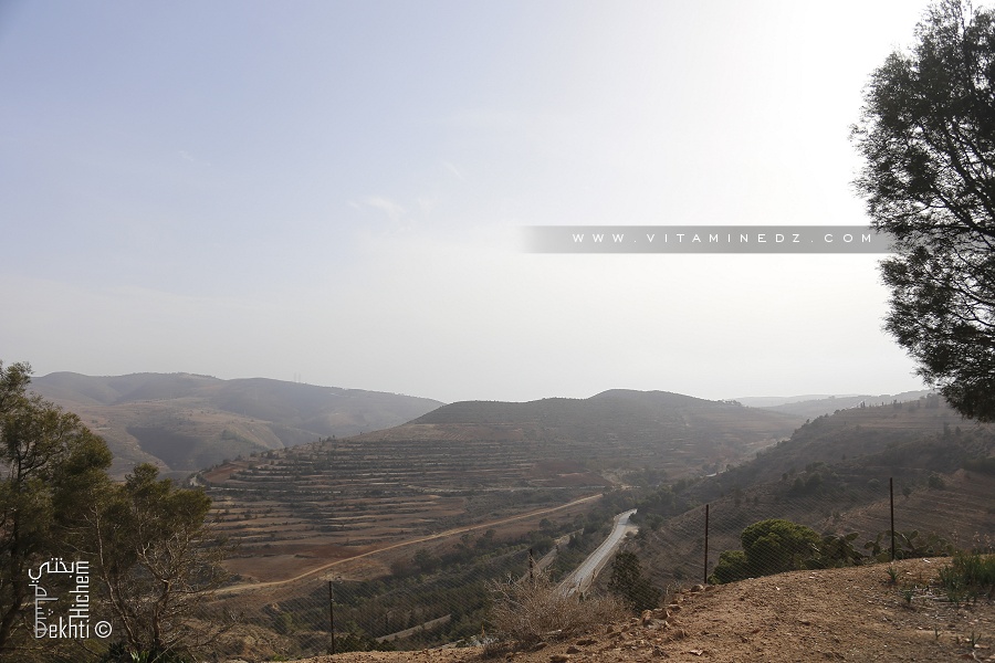 Photo de la montagne et par de Yembou