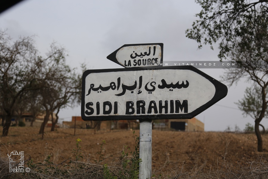 Sidi Brahim et non loin de la la source des tortues