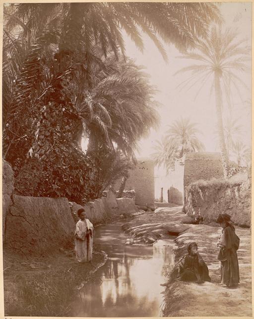 [Dans le Vieux-Biskra : enfants] (Image de propagande coloniale)