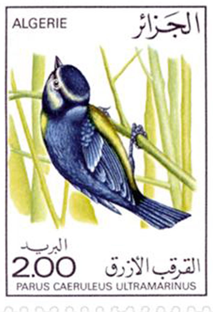 Les oiseaux (Timbre poste Algérie)
