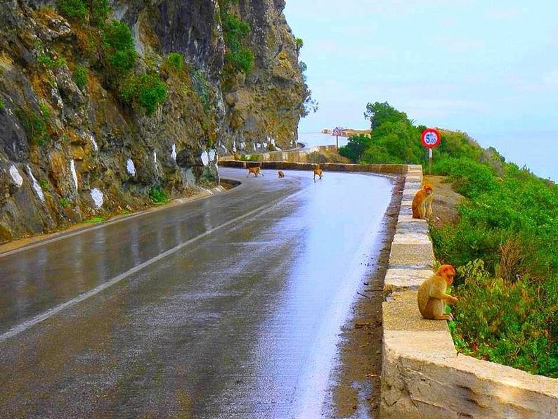 Parc National de Taza, Jijel !